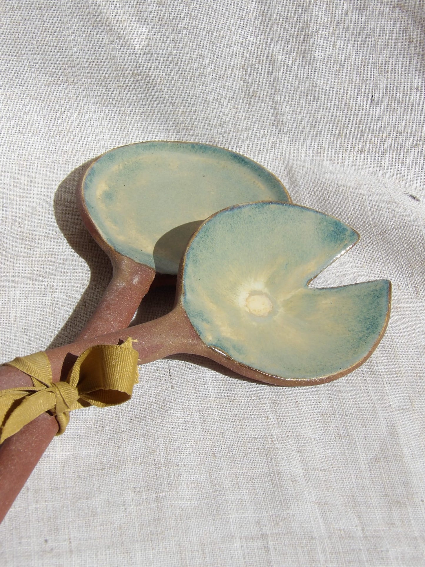 Le Duo de Spatules "Épave"